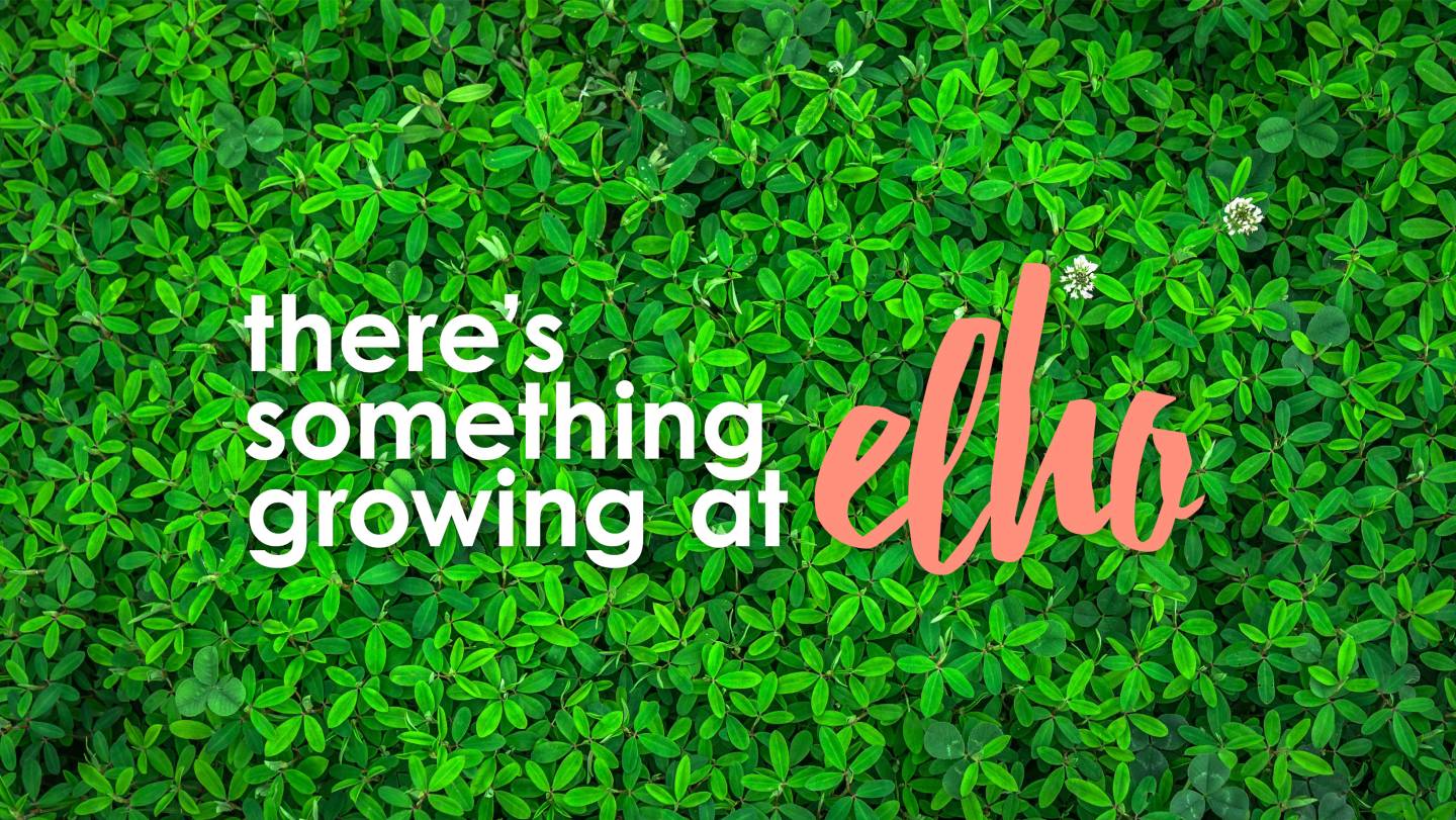Elho visual met tagline en logo