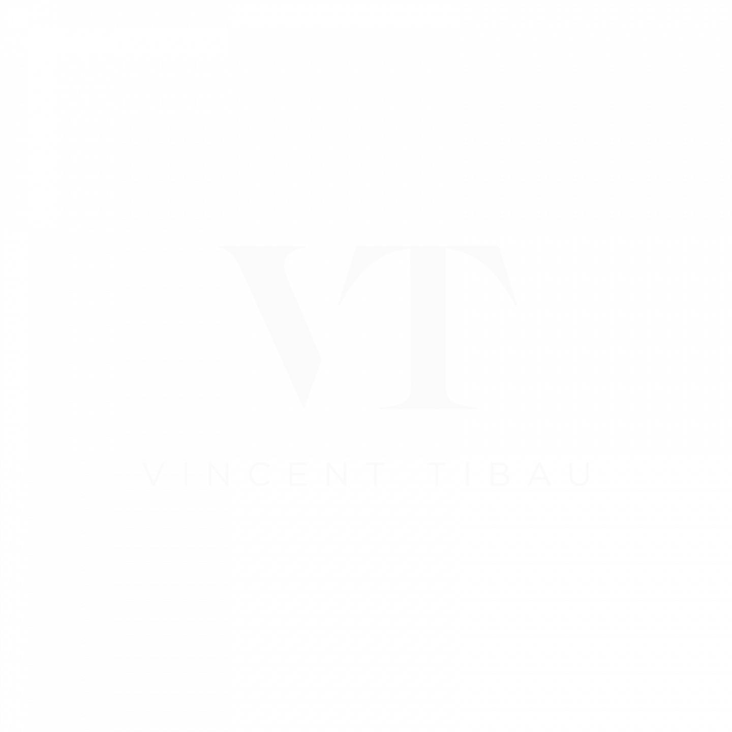 Logo van Vincent Tibau